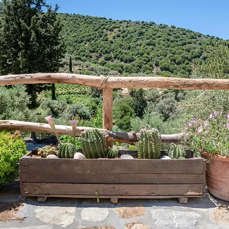 Villa Cretan Nature Alexandra